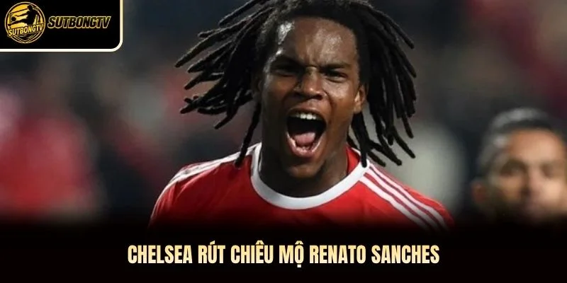 Chelsea rút chiêu mộ Renato Sanches Chelsea rút chiêu mộ Renato Sanches